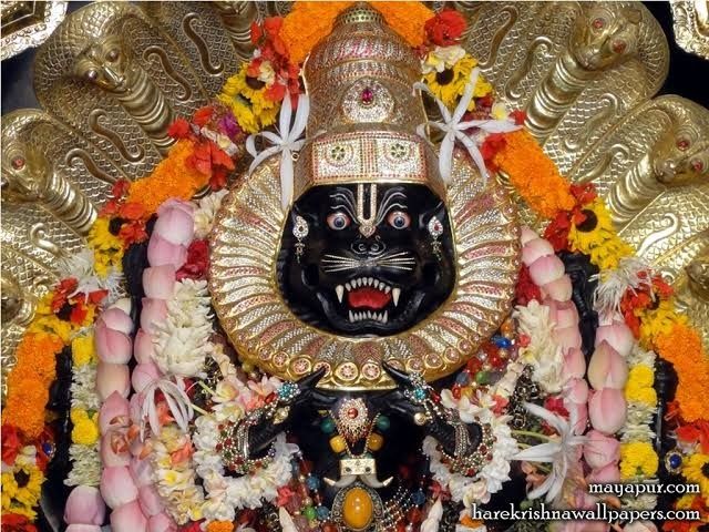 শ্রী শ্রী নৃসিংহ চতুর্দশী